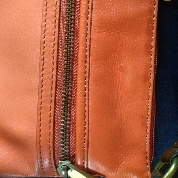 The flawed fossil purse - Picture 2 of 12